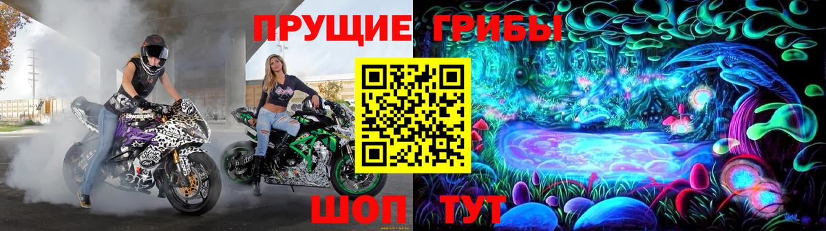 Санкт-Петербург  Галлюциногенные грибы мицелий  Вход с VPN 
